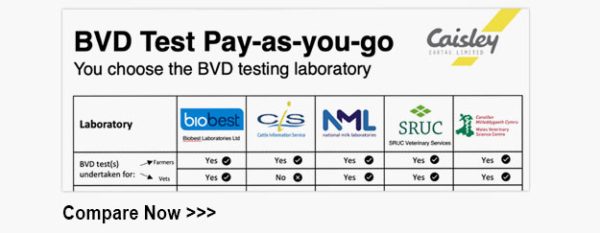Combo 11 BVD - Large Flag Tissue Sampling with Large Flag Management ...