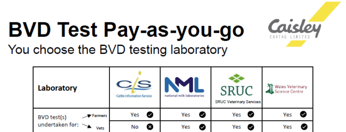 BVD testing and Tags | TAG & TEST | BVD England|