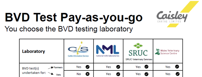 BVD testing and Tags | TAG & TEST | BVD England|